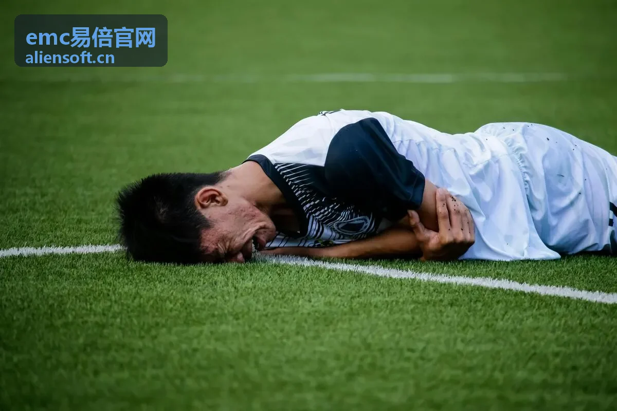 emc易倍官网开放API平台